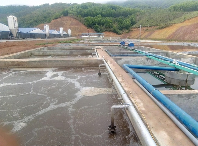 Công ty cung cấp bùn vi sinh quận Bình Thạnh luôn được tin tưởng