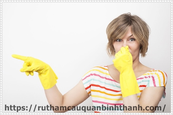 Nguy&ecirc;n nh&acirc;n g&acirc;y m&ugrave;i h&ocirc;i trong nh&agrave;